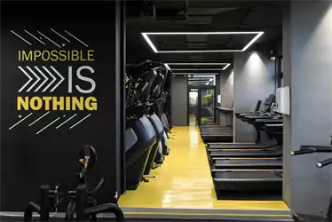 Mega Gym Zelena avenija