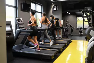Mega Gym Zelena avenija