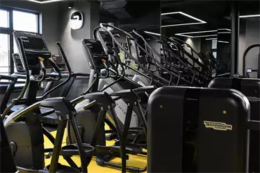 Mega Gym Zelena avenija