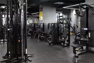 Mega Gym Zelena avenija