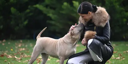 Casa dell intimo kožne jakne