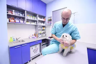 Veterinarska ordinacija Pet Friend