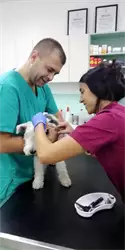 Veterinarska ambulanta Golden Pet