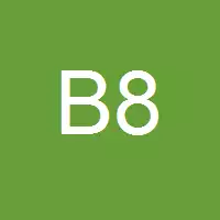Brzi 85