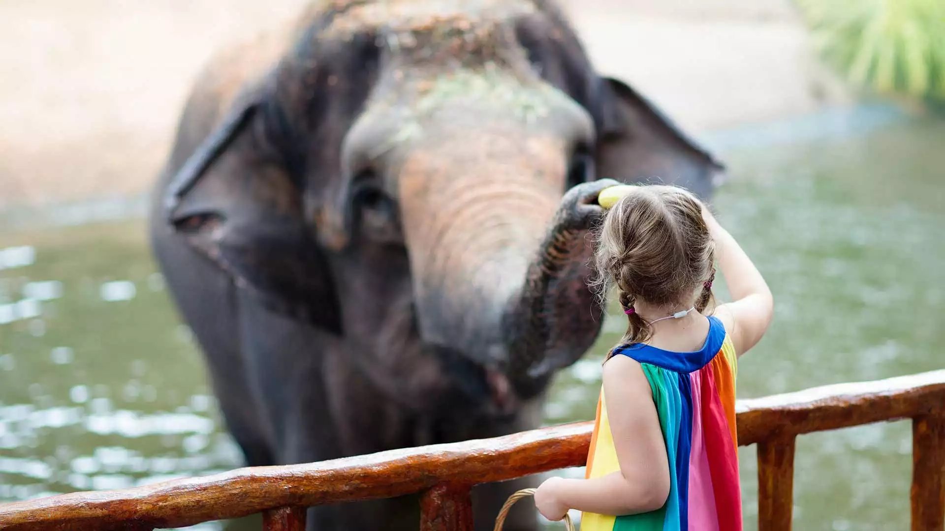 slika kategorije Zoos