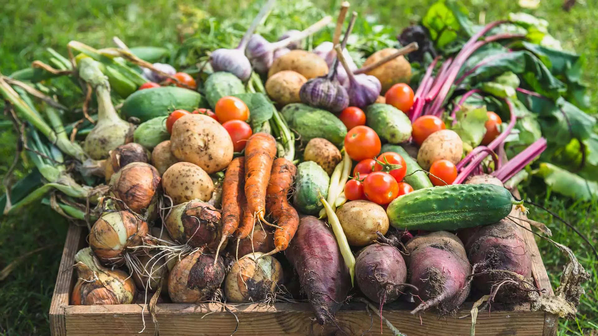 slika kategorije Agricultural Products