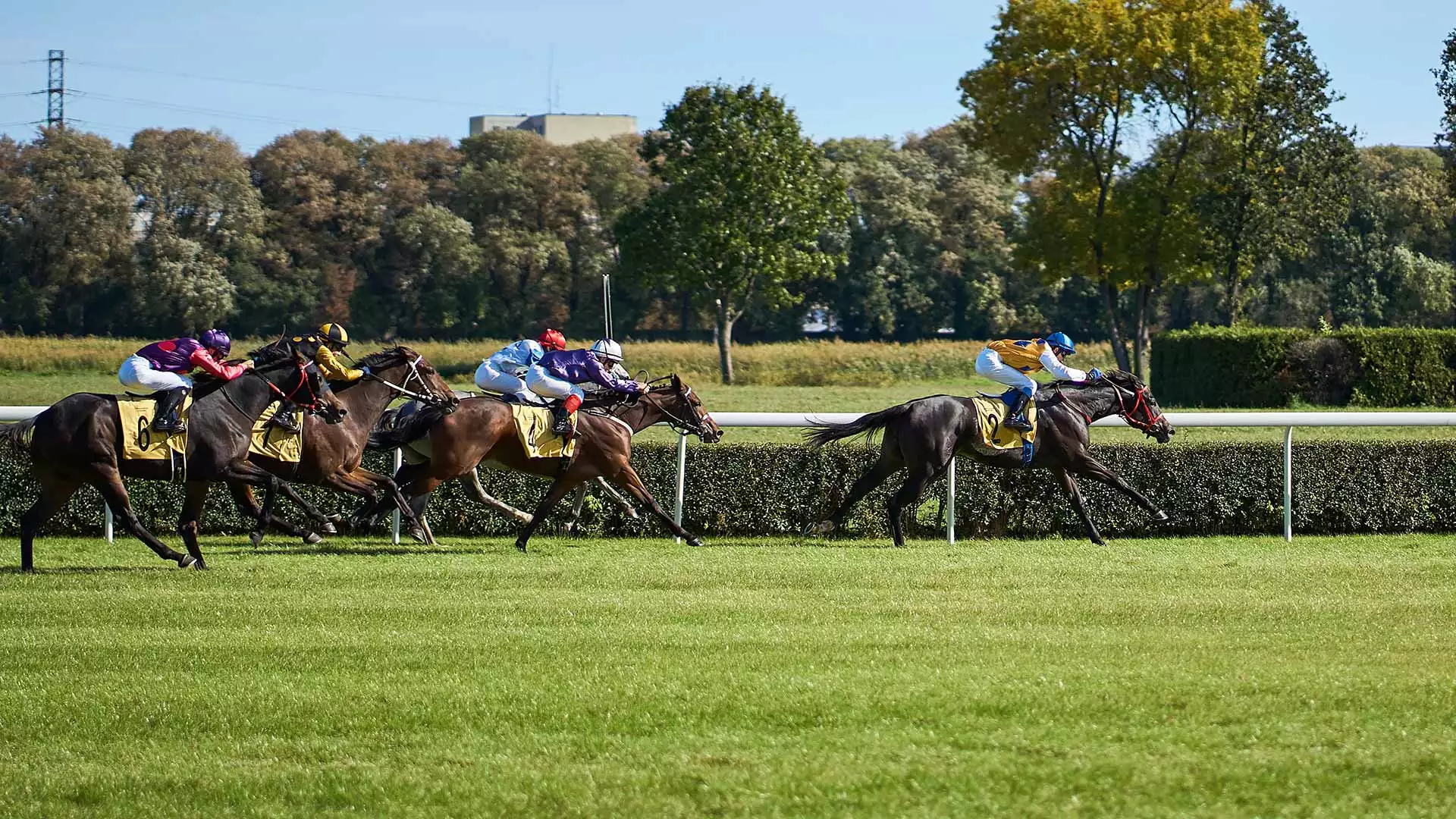 slika kategorije Hippodromes