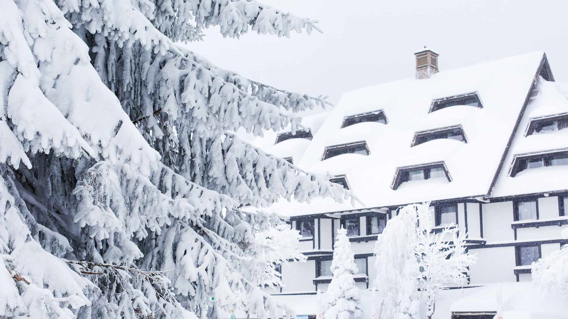 slika kategorije Mountain Lodges