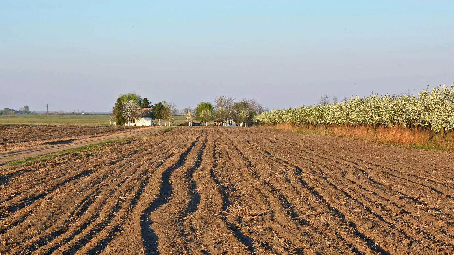 slika kategorije Attraction Farms