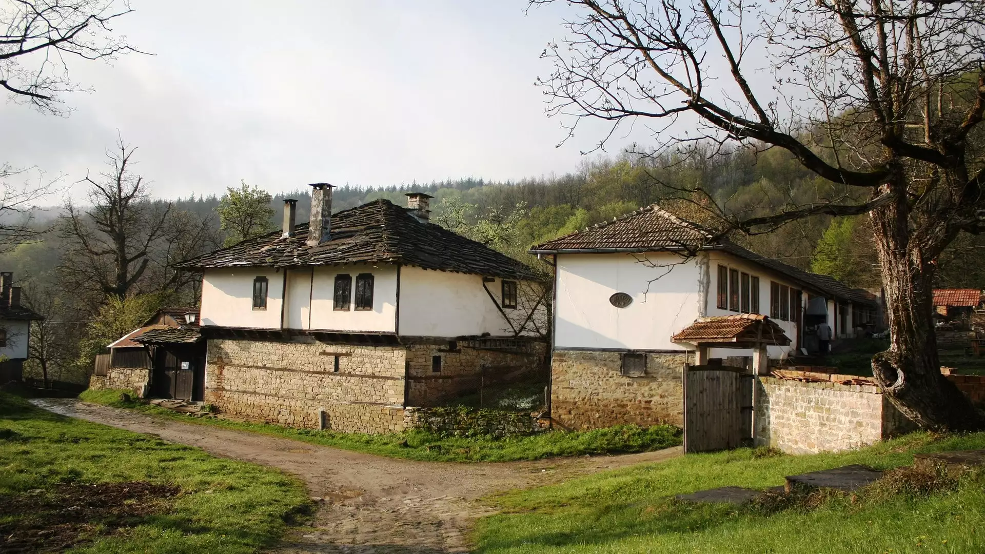 slika kategorije Countryside Tours