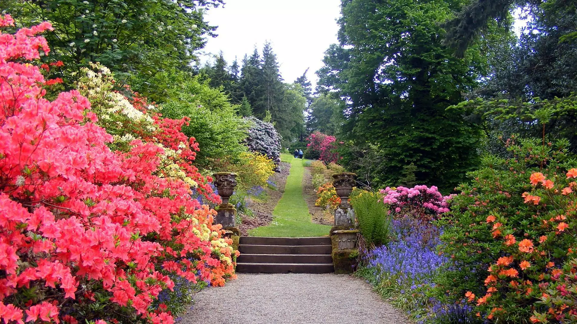 slika kategorije Landscaping