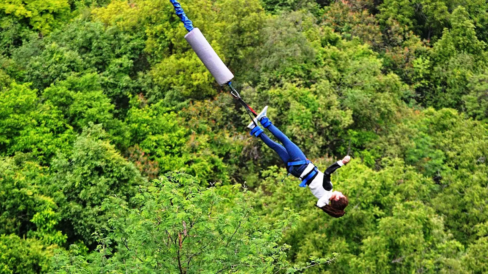 Bungee jump