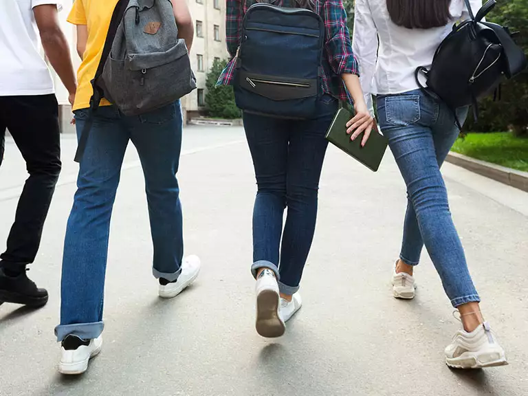 slika kategorije Gimnazije i srednje stručne škole