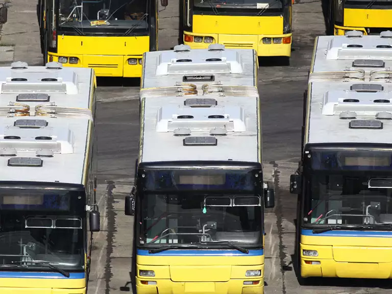 Auto Transport