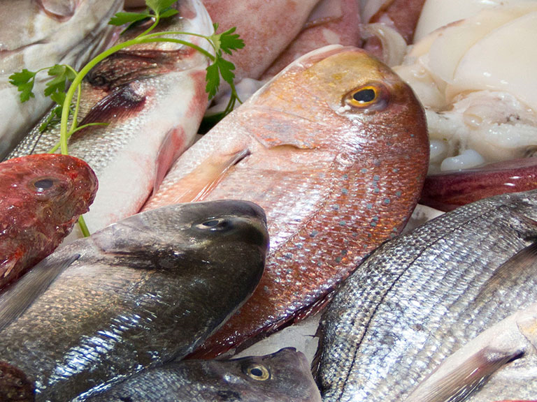 slika kategorije Fish Markets