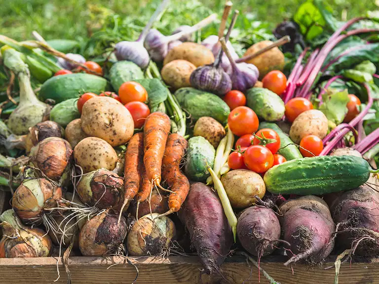 slika kategorije Poljoprivredni proizvodi