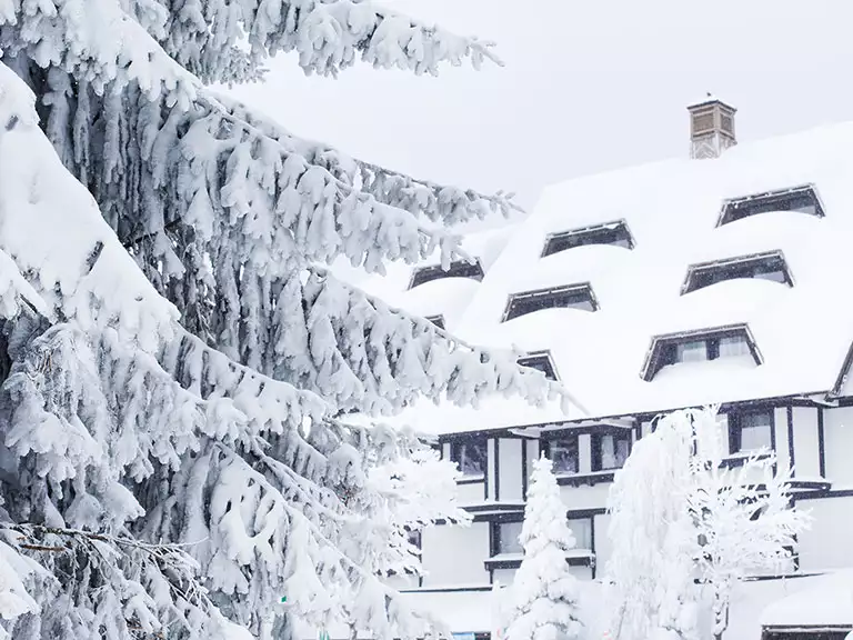 slika kategorije Mountain Lodges