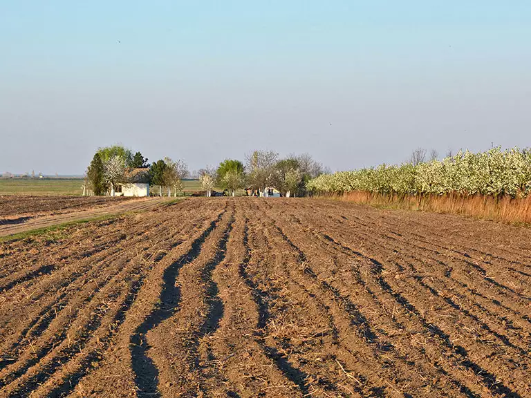 slika kategorije Attraction Farms