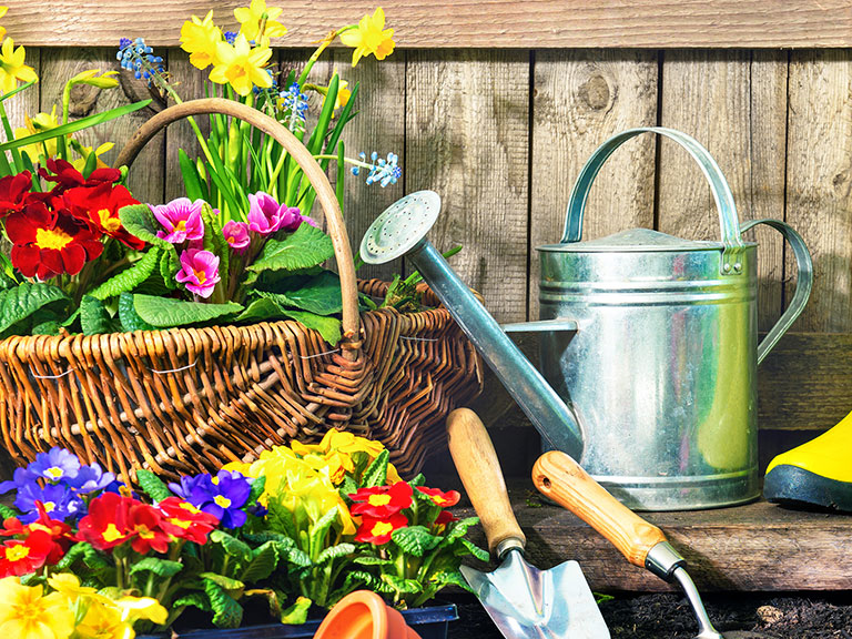 slika kategorije Gardening Tools & Accessories