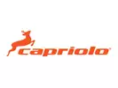 Capriolo