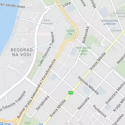 Tijana Ristic - Attorney at Law