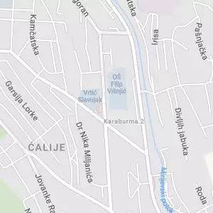 Zdrava hrana Žuti suncokret