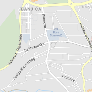 Cvetić ženska obuća