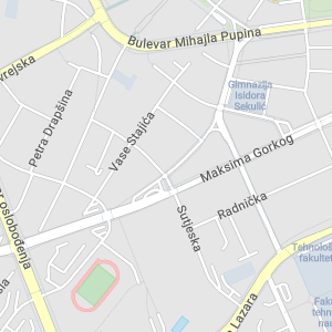Predškolska ustanova Radosno detinjstvo Novi Sad