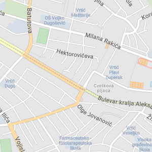 Gerontology Center Belgrade - Elderly Care Service