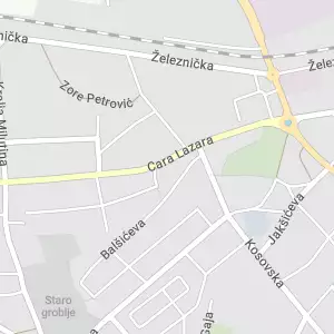 Dejan Miljojković - Veterinary Clinic