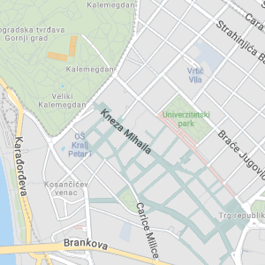 Anatomska obuća Leon