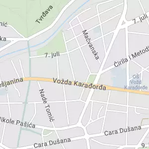 Ana Tomović - zamenik izvršitelja Višeg suda i Privrednog suda u Nišu