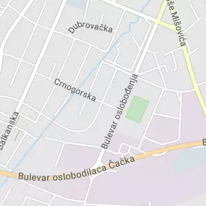 Marija Pejović - zamenik izvršitelja Višeg suda i Privrednog suda u Čačku
