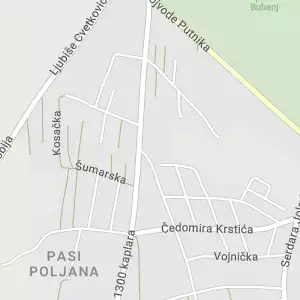 18131 Pasi Poljana Post Office