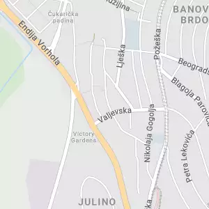 Geopaja