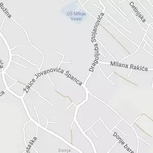 Geo Savić Geodesy and Land Surveying