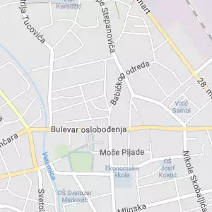 Obradović Geodesy and Land Surveying