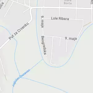 Geojokić