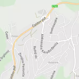 Geodetska radnja Đenić