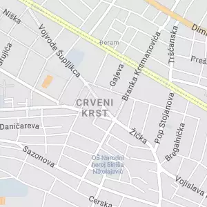 Geo Dron