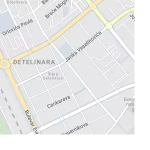 City Pet - Pet Shop