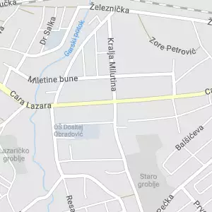 Perionica veša Cvetić 2