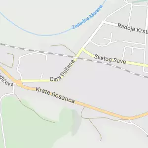 Perionica veša Cvetić 4