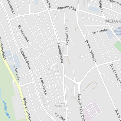 Rasadnik tuja Voždovac