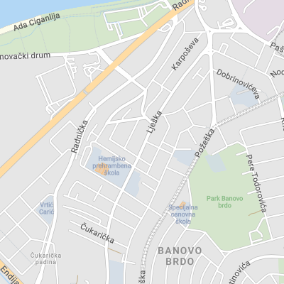 Brave Cat Digital - Web Design Agency