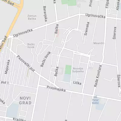 Advokat Irena Aleksić