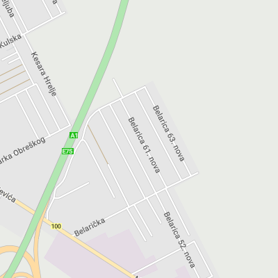 Advokat Bojana Špikić