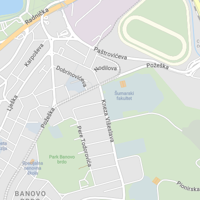 Damir Ćorović - Attorney at Law