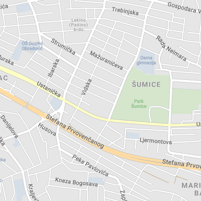 Advokat Boban Savić