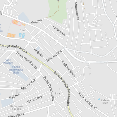 Branislav Petronijević - Attorney at Law